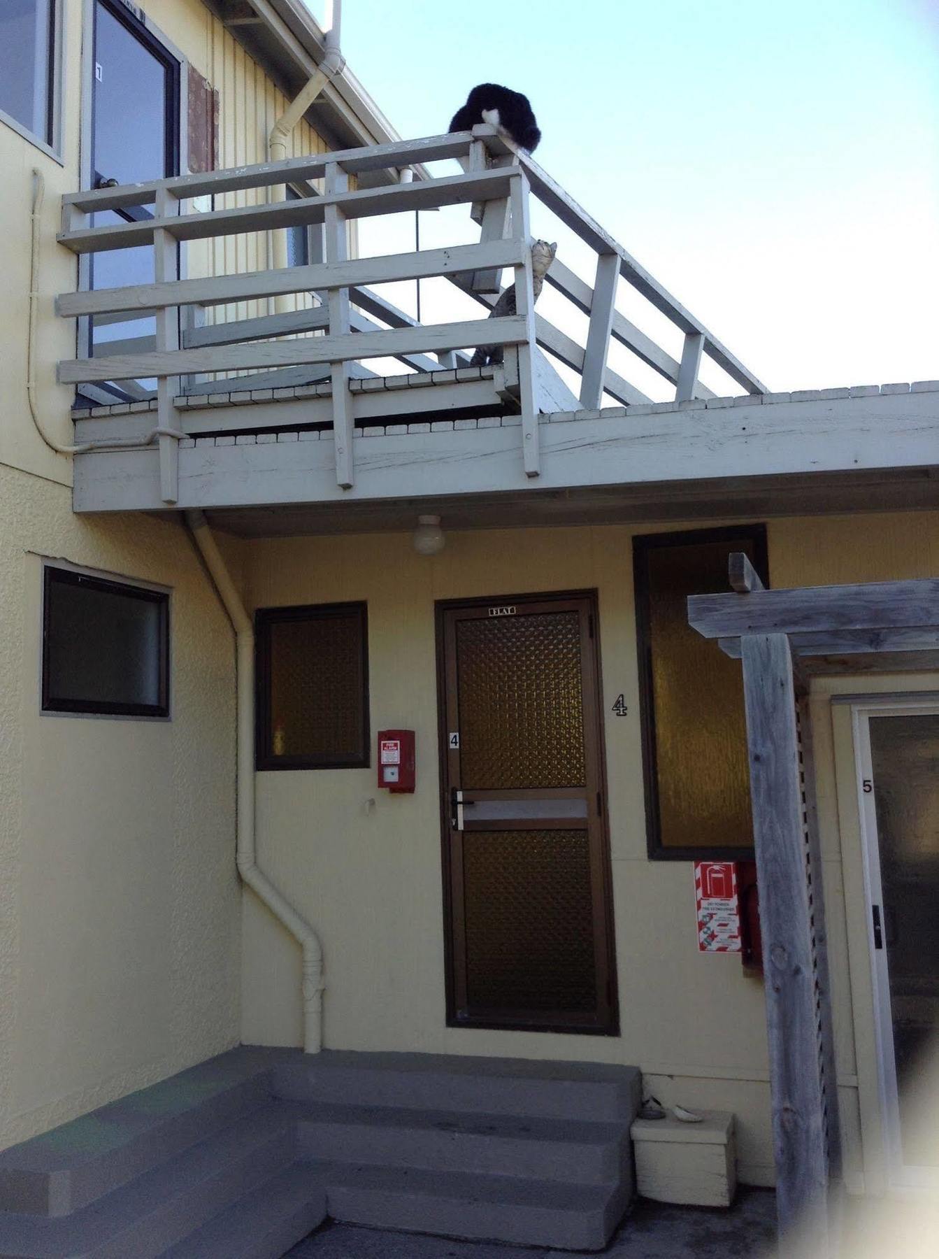 Seaview Motel Kaikoura Exterior photo